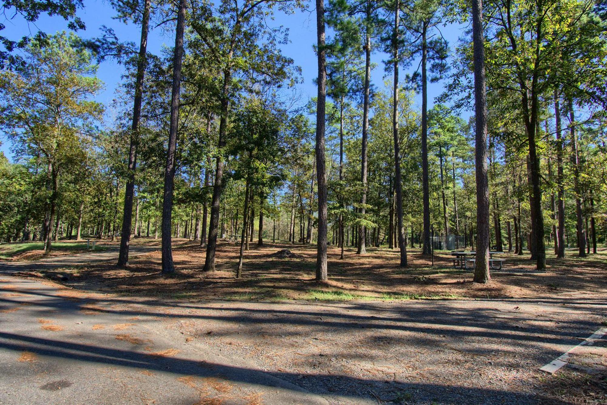 The Americana - Parker Creek Bend Cabins Murfreesboro Bagian luar foto